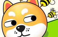 Save The Dog