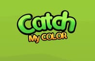 Cat My Color