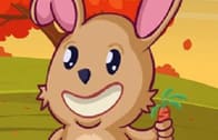 Veggi Rabbit