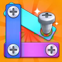 Nuts And Bolts Screw Puzzle