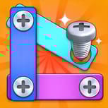 Nuts And Bolts Screw Puzzle