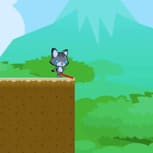 Swing Cat