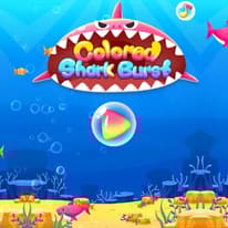 Colored Shark