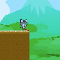 Swing Cat