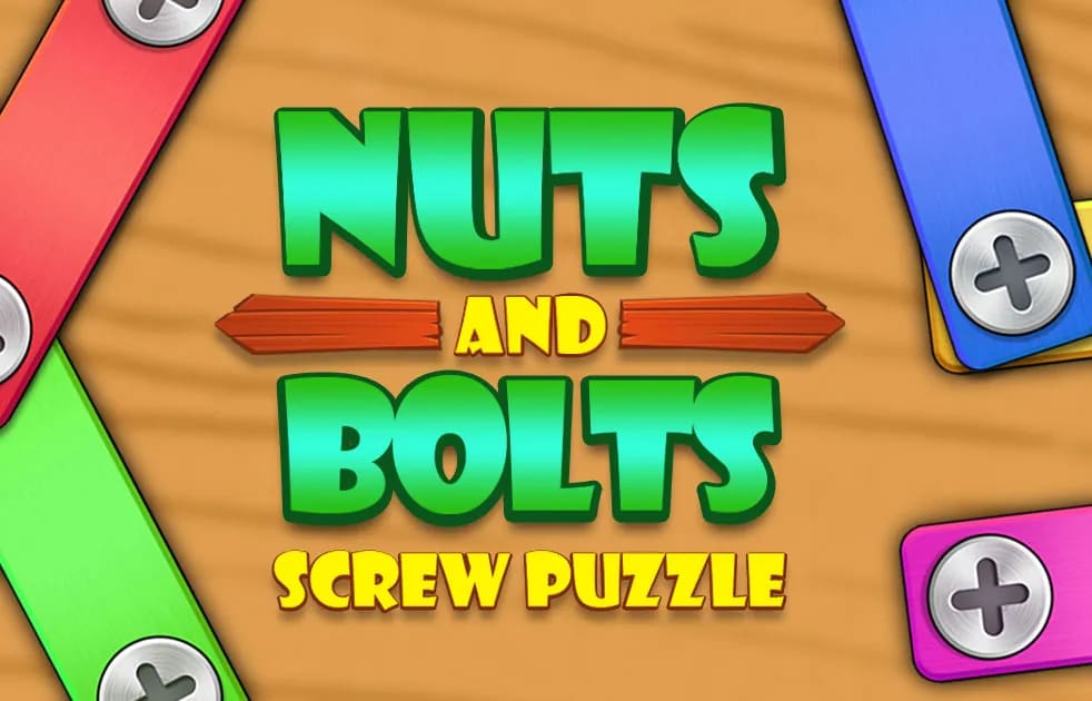 Nuts And Bolts Screw Puzzle