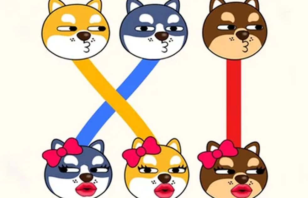 Love Doge Collect